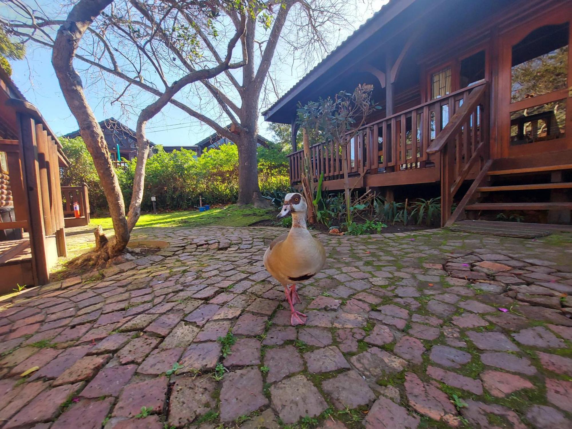Knysna River Club By First Private Stays Exteriér fotografie